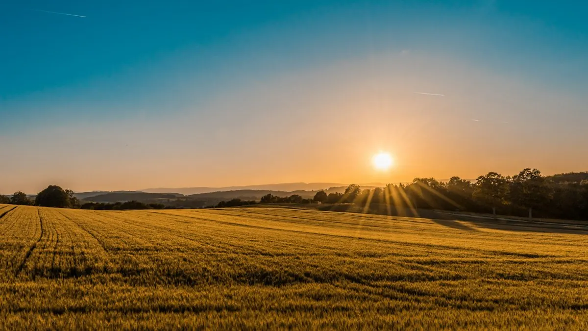 Open farmland at sunset, representing residential plots